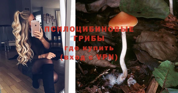 ALPHA-PVP Новокубанск